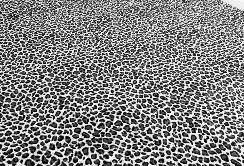 Shop for Carpet flooring in Pearland, Tx from Floor Gallery.